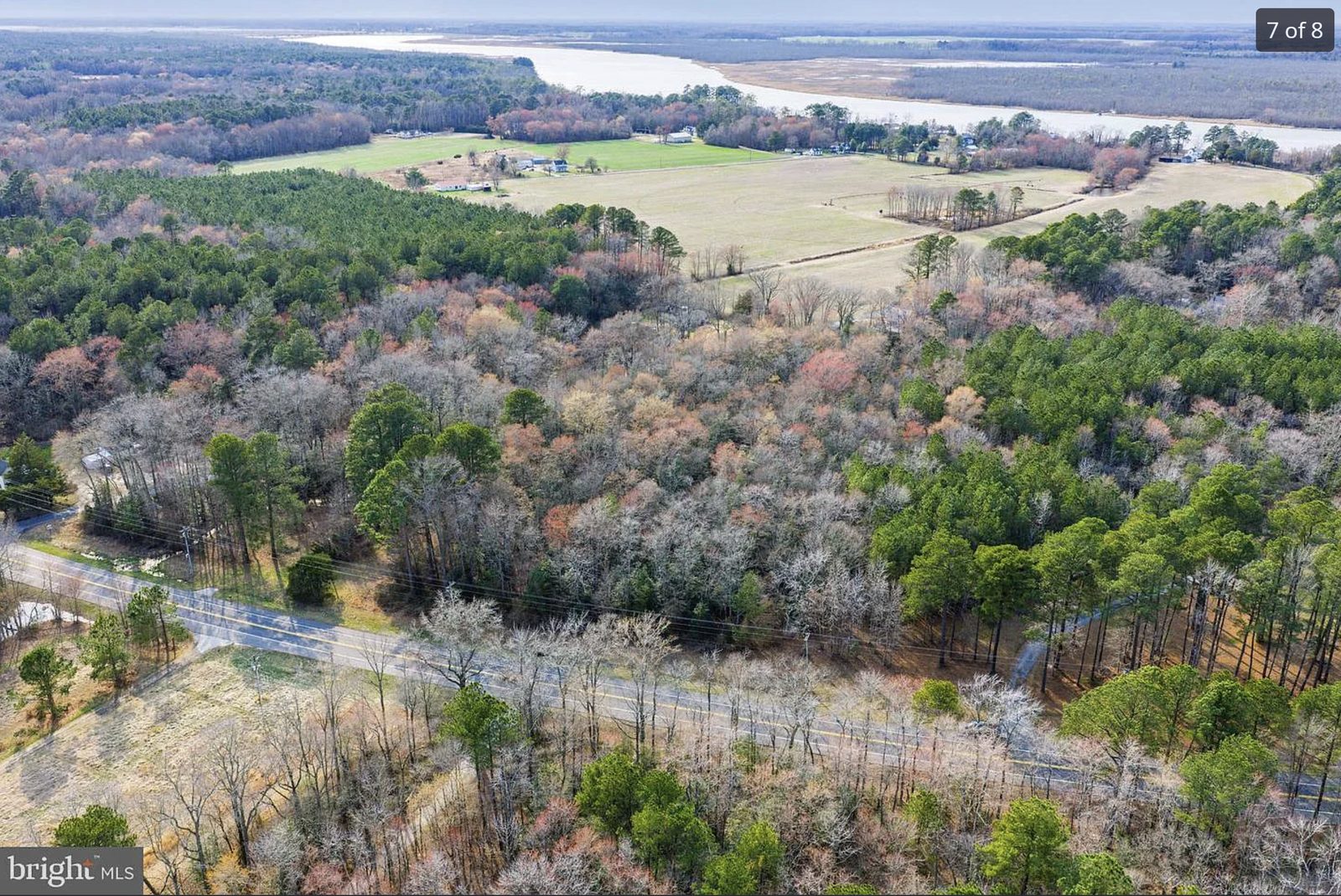 Wooded 2.67-acre building lot on Sharptown Road, Wicomico County